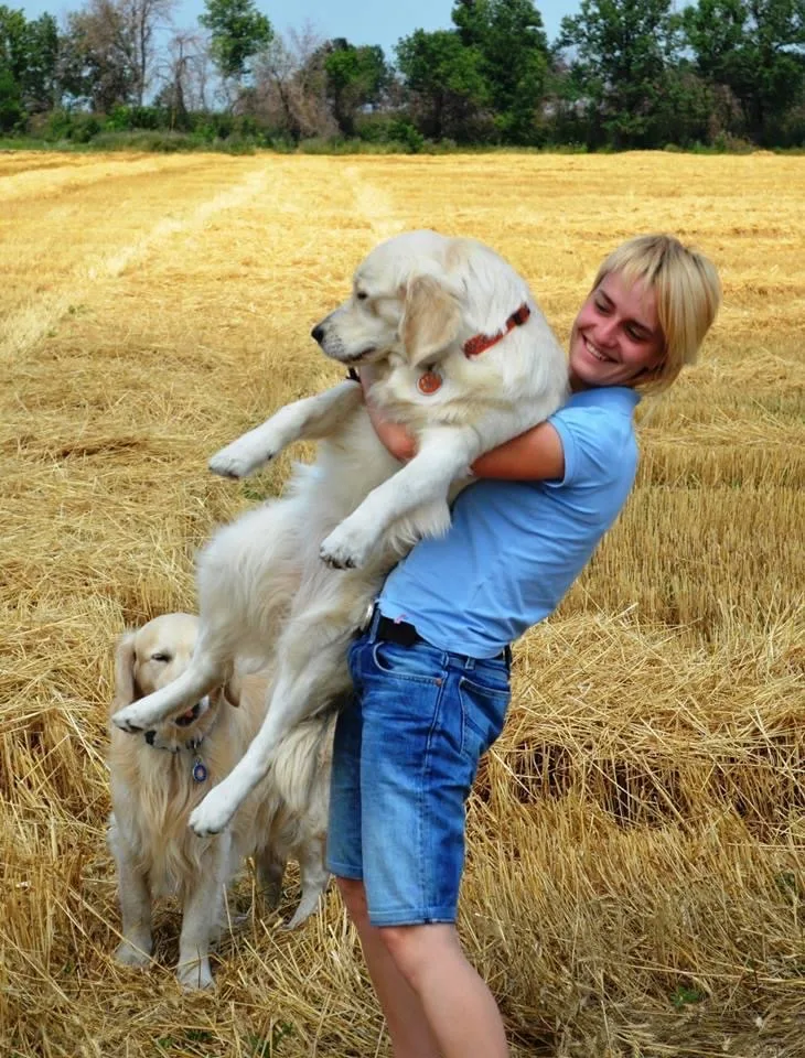 Kennel "Golden Tradition", питомник золотистых ретриверов - Mykolaivska pet otel görseli 3