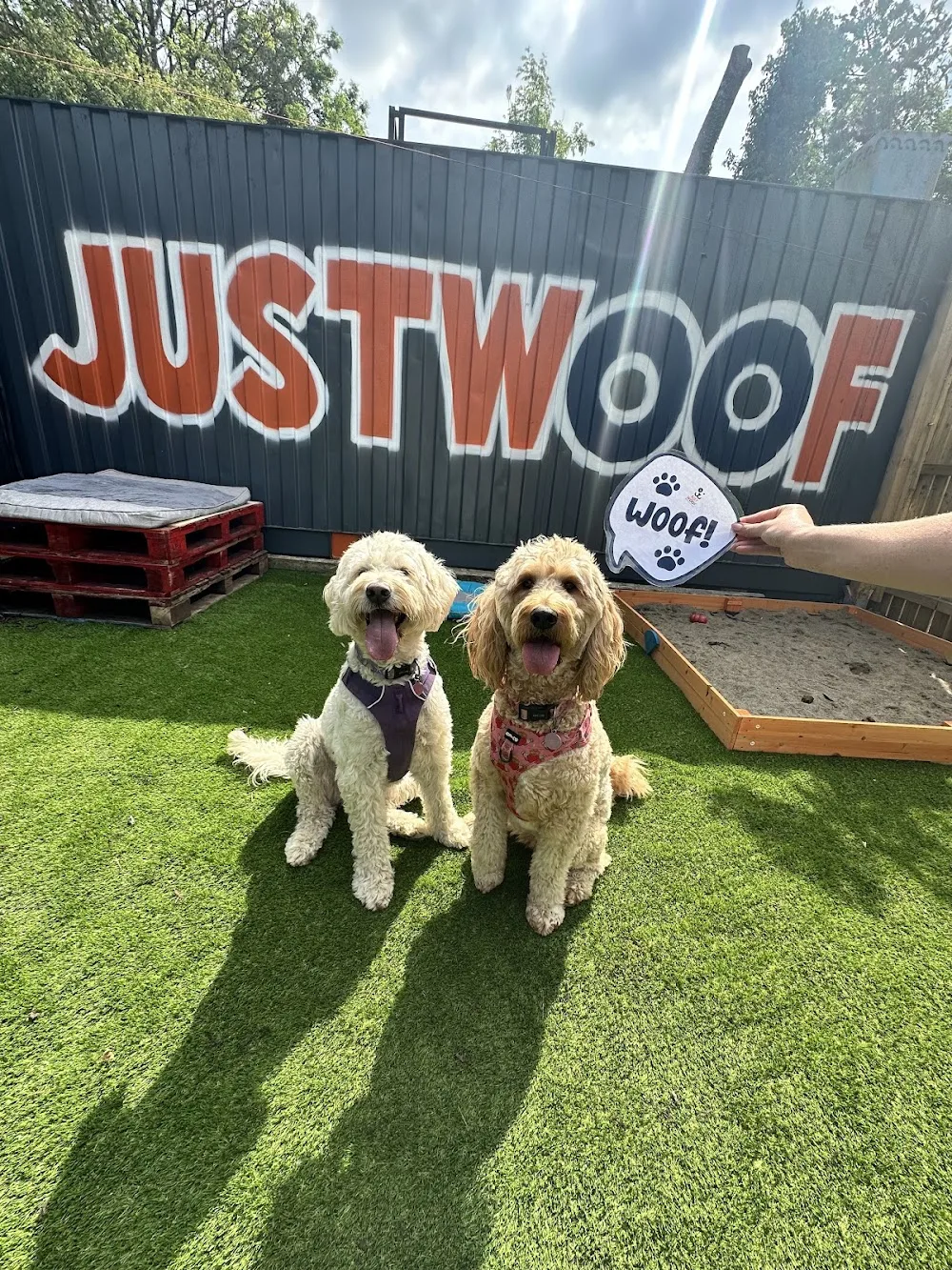 Just Woof Dog Day Care & Social Club - Naas pet otel