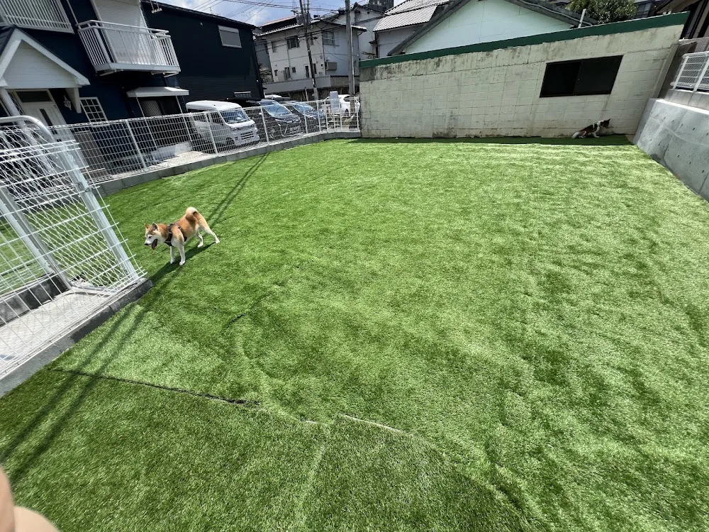 Pet Hotel ソル - Nagasaki pet otel görseli 3