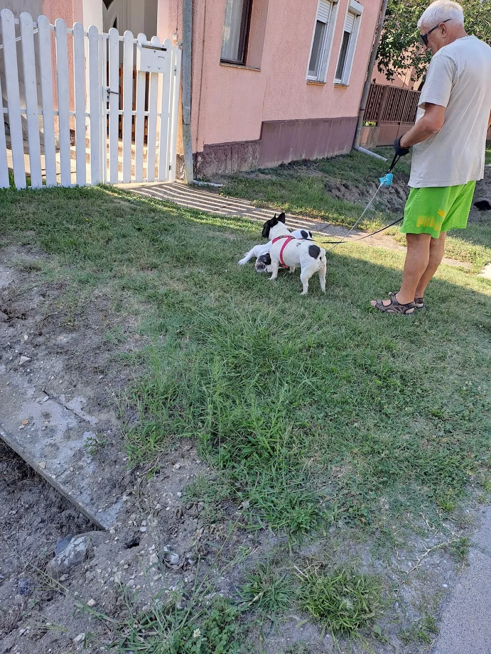 Hajde Kutyapanzio - Nagykanizsa pet otel görseli 6