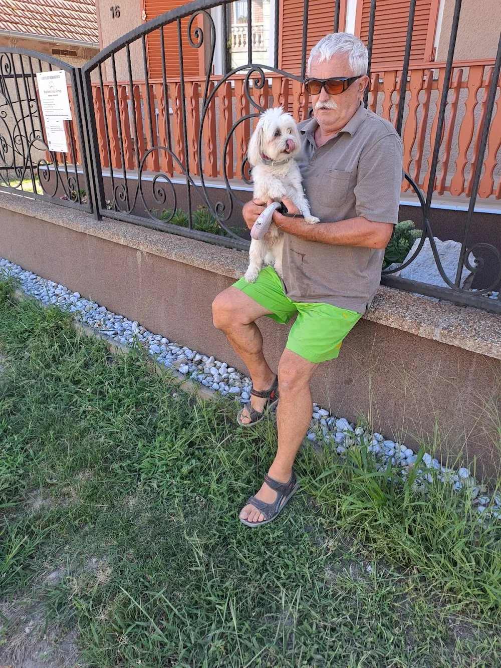 Hajde Kutyapanzio - Nagykanizsa pet otel görseli 7