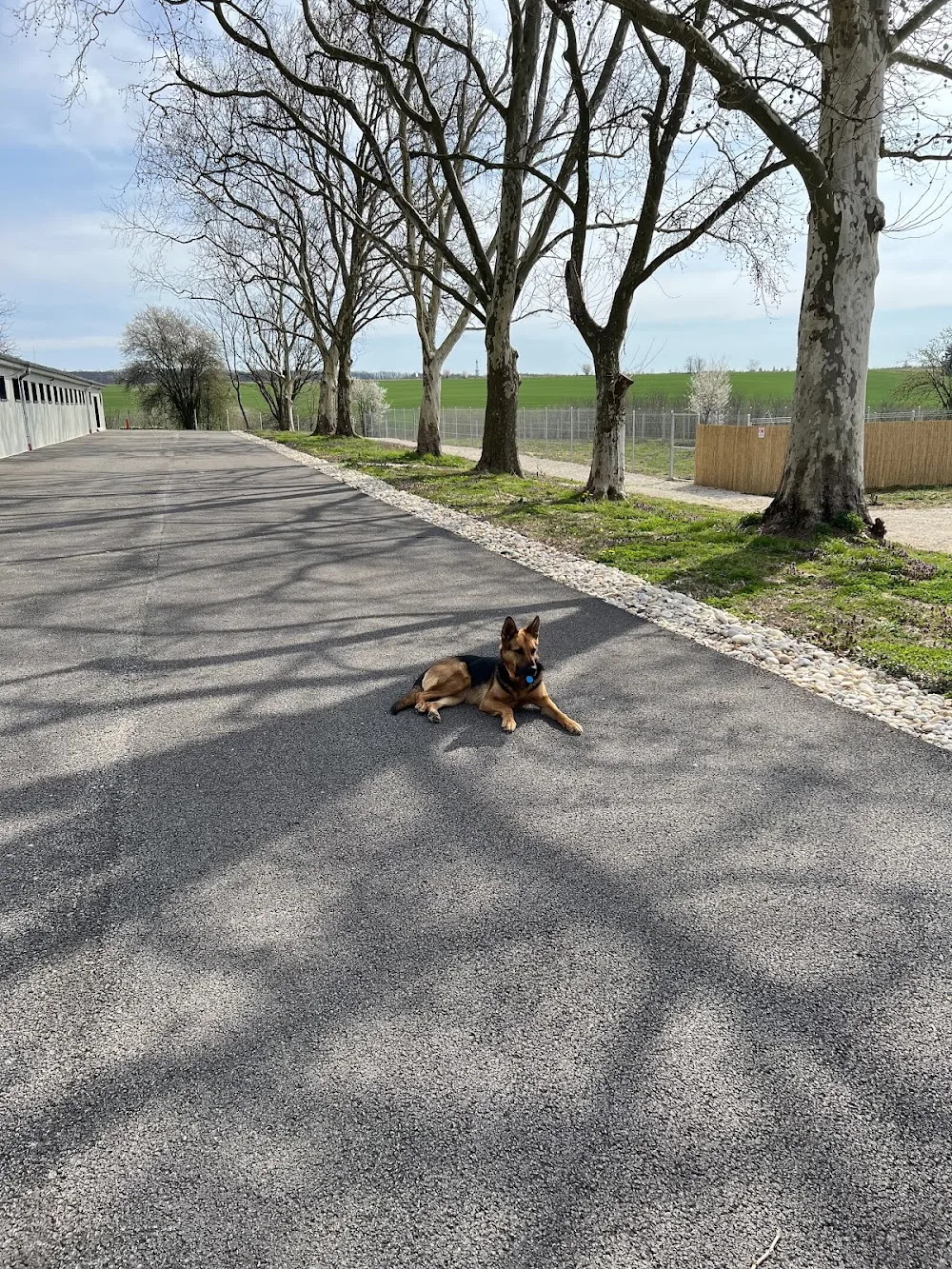 Szabadhegyi Állatpanzió És Kutyanapközi Nagykanizsa - Nagykanizsa pet otel görseli 3