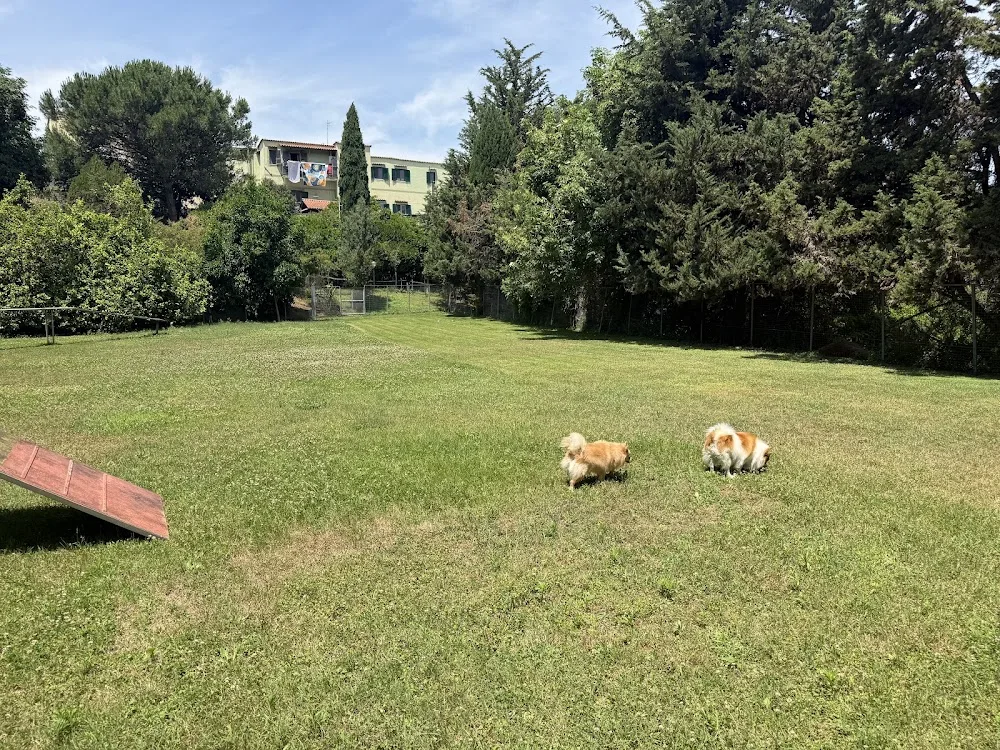 Bauhouse Village - Naples pet otel görseli 3