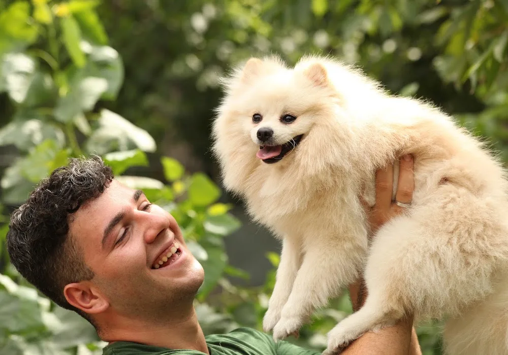 Freedogs di Francesco Pio Iodice - Naples pet otel görseli 3