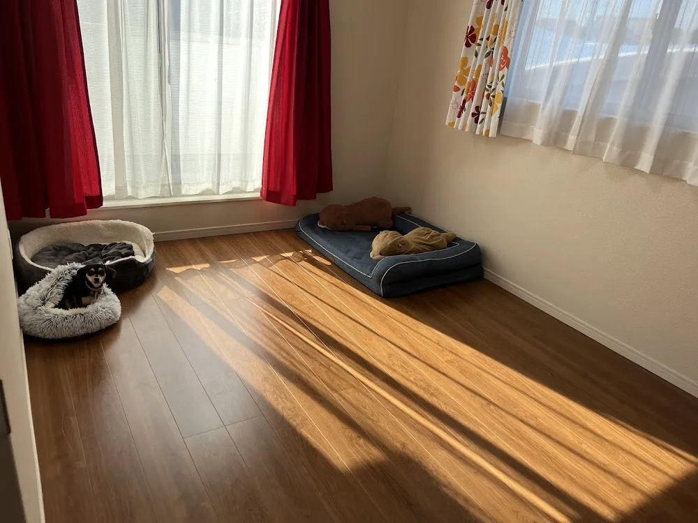 DOGG HOUSE EIGHT(ドッグハウスエイト) - Nara pet otel