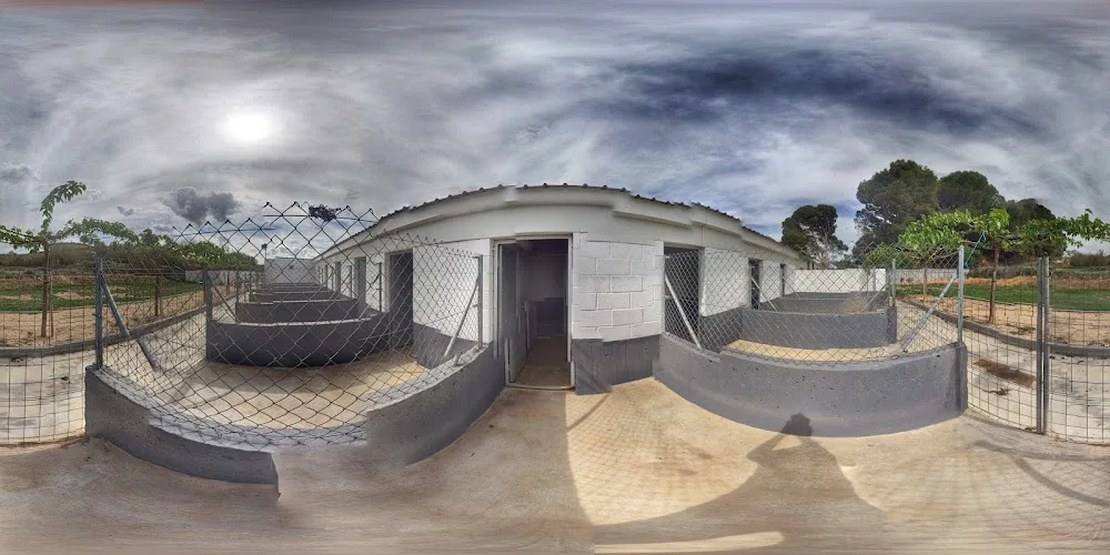 Centro Canino y Residencia Don del Barri - Navarra pet otel görseli 3