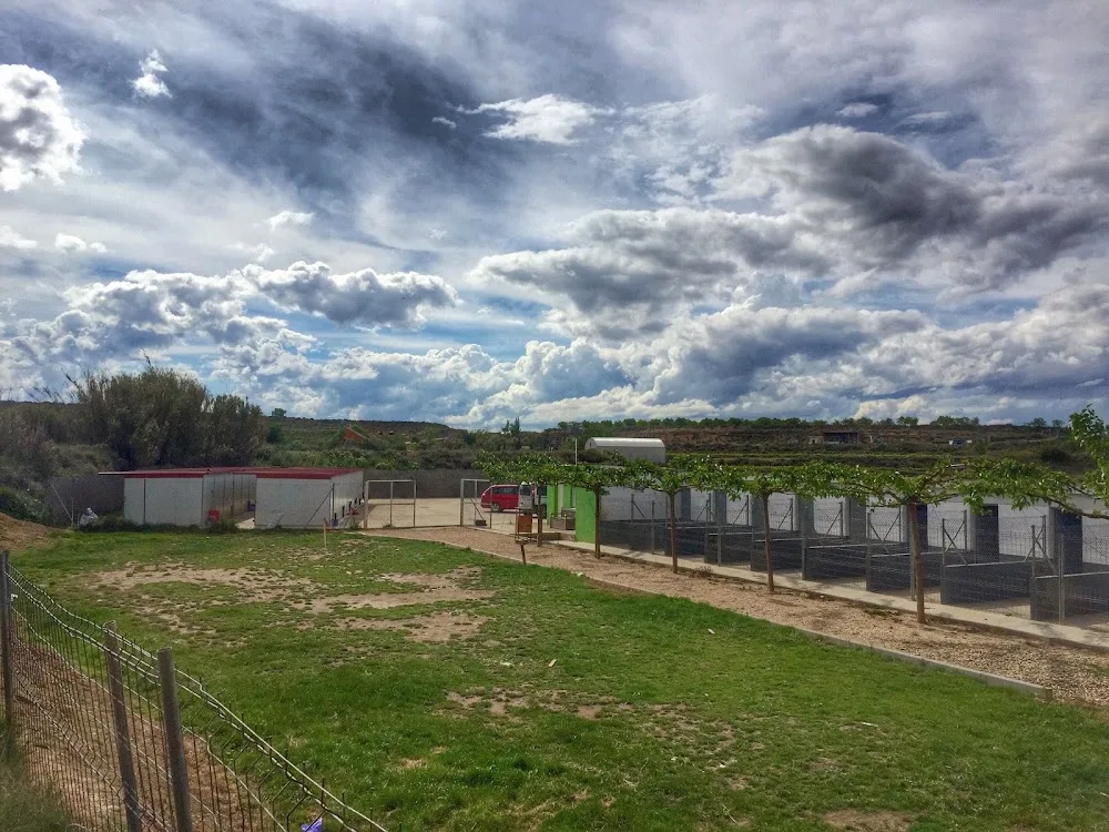 Centro Canino y Residencia Don del Barri - Navarra pet otel görseli 4