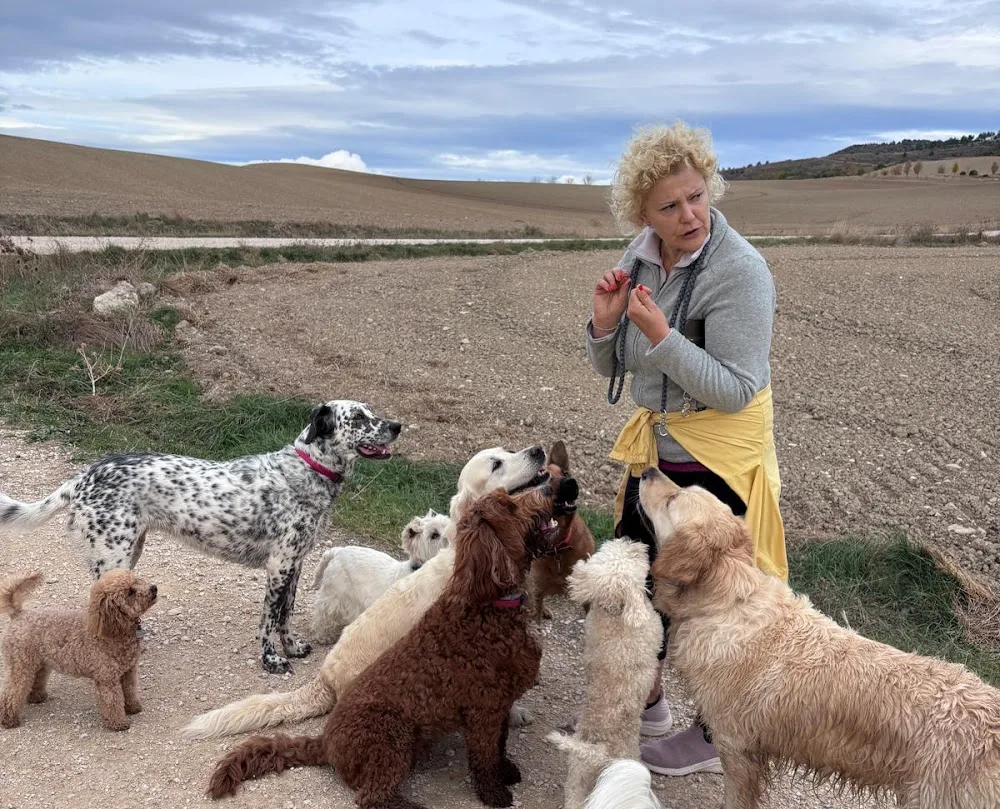 NaturCan – Paseos y Guardería Canina en Pamplona - Navarra pet otel