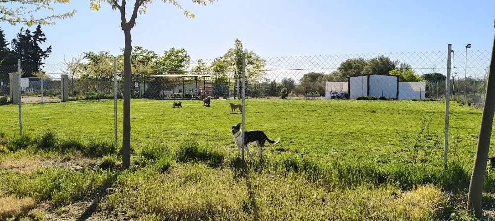 Piluecan - Navarra pet otel görseli 2