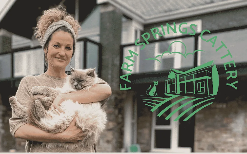 Farm Springs Cattery - Neath Port Talbot pet otel