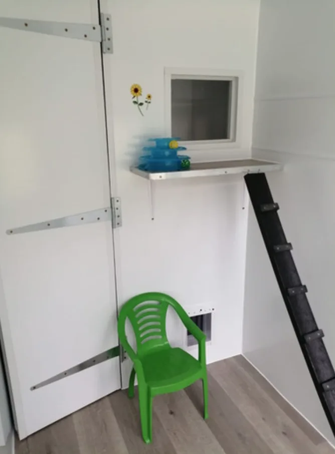 Meadow Vale Cattery - Neath Port Talbot pet otel görseli 3