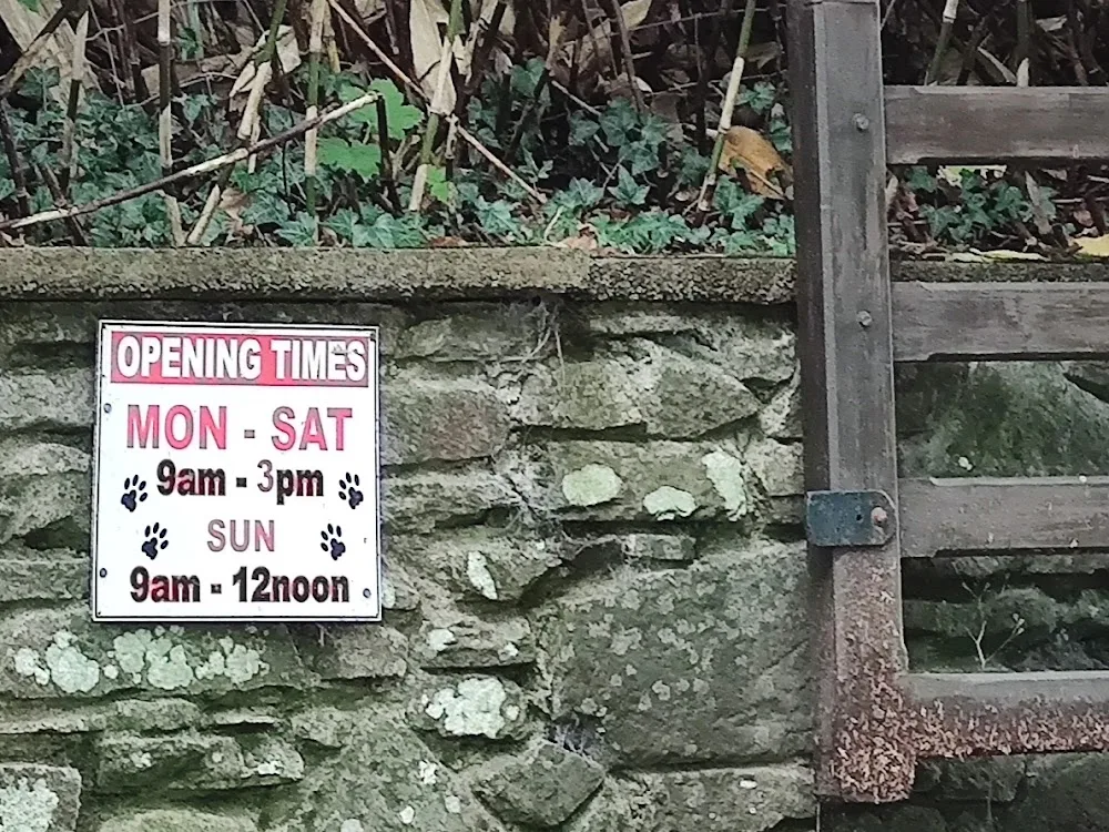 Noddfa Boarding Kennels - Neath Port Talbot pet otel