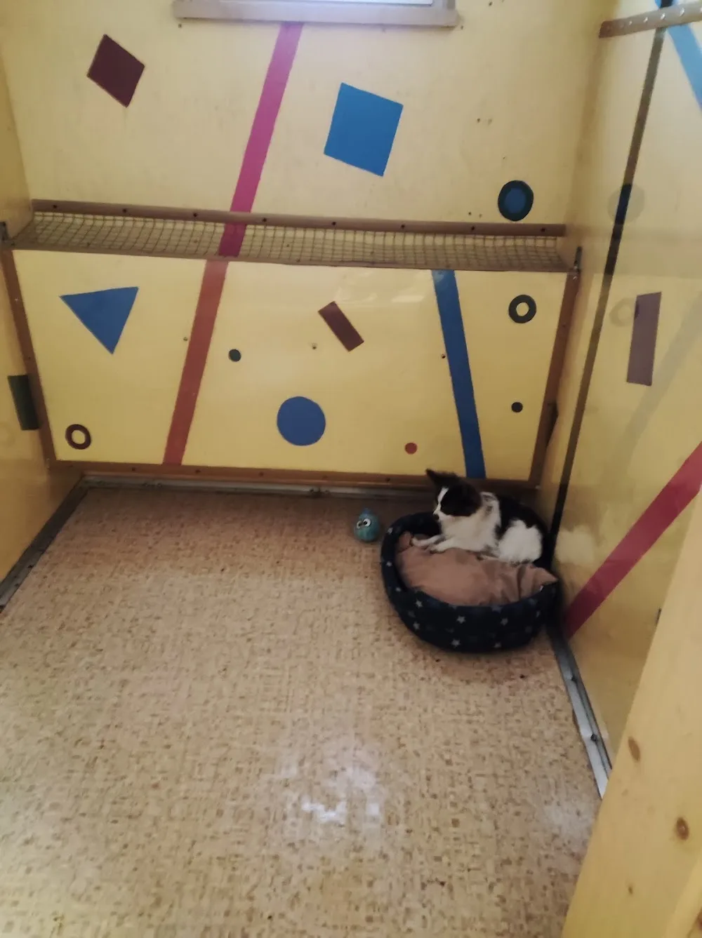 Гостиница для собак Doggihotel - Nenets pet otel