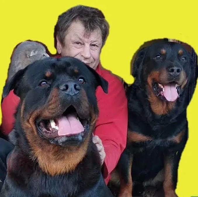 Отель для собак передержка Pet-Inn.RU - Nenets pet otel görseli 4