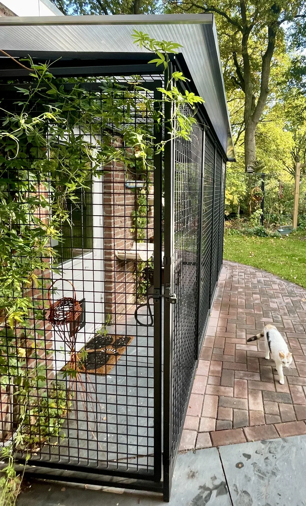 Bij Leentje Kattenpension - Netherlands pet otel görseli 3