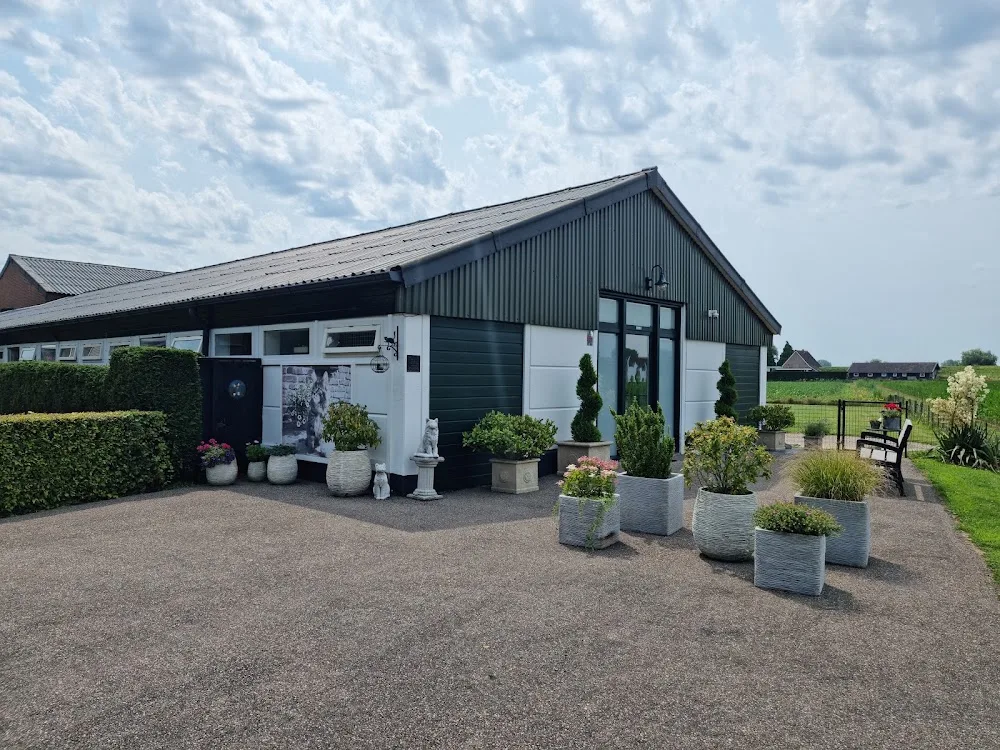 De Kattenhoeve - Exclusief Kattenhotel - Netherlands pet otel