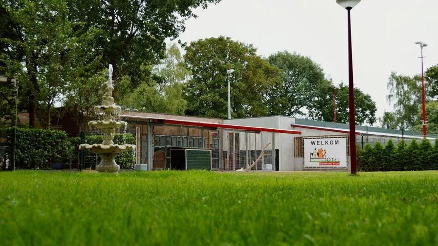 Dierenhotel 't Gooi - Netherlands pet otel