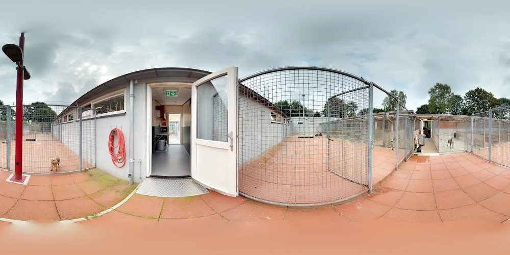 Dierenhotel 't Gooi - Netherlands pet otel görseli 4
