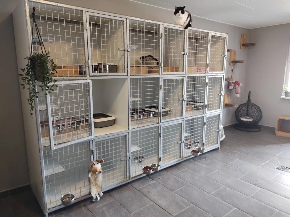 Dierenpension Chateau Animaux - Netherlands pet otel