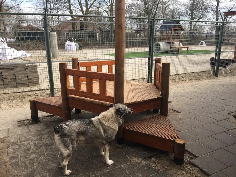 DierenZorg Eemland - Netherlands pet otel