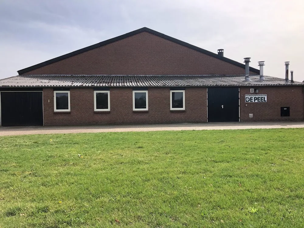 Hondenpension de Peel - Netherlands pet otel görseli 3