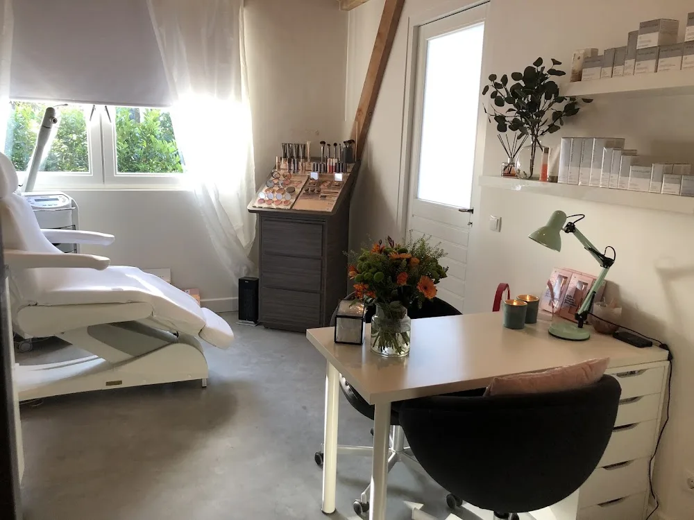 Hondenpension Driehuis - Netherlands pet otel görseli 4