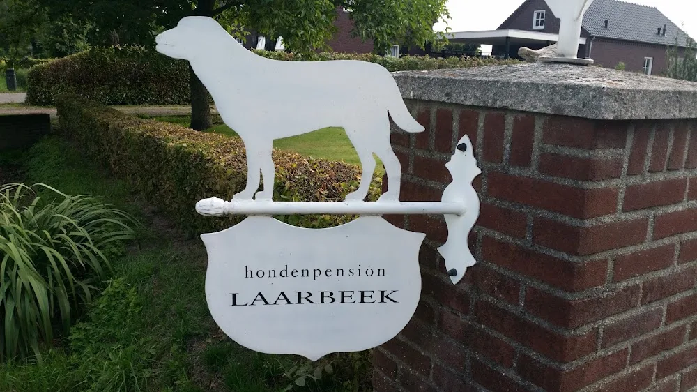 Hondenpension Laarbeek - Netherlands pet otel