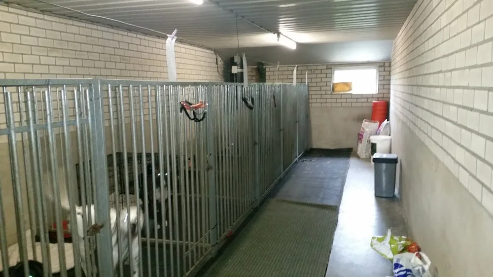 Hondenpension Laarbeek - Netherlands pet otel görseli 3