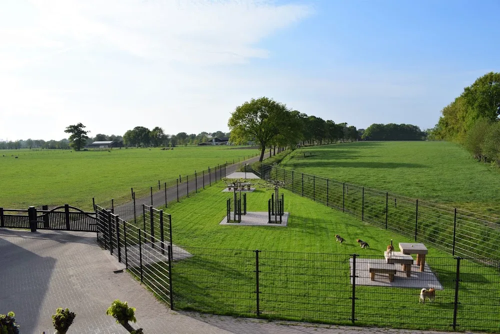 Hondenpension Midden Nederland - Netherlands pet otel görseli 2