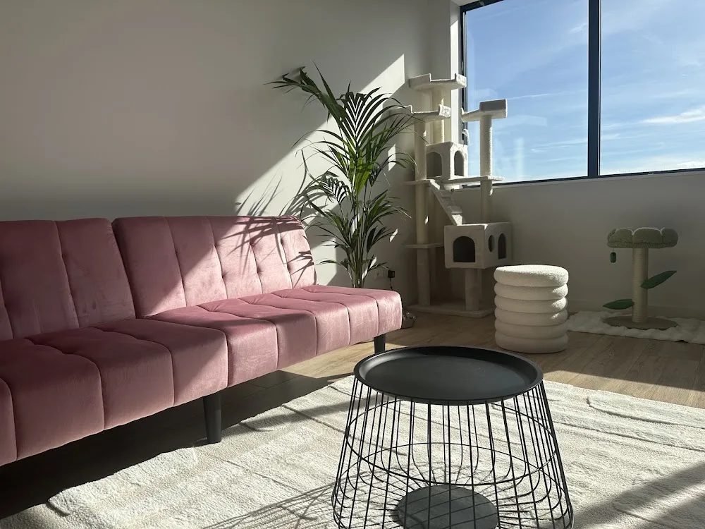 Kattenhotel Huis & Hart Veenendaal - Netherlands pet otel