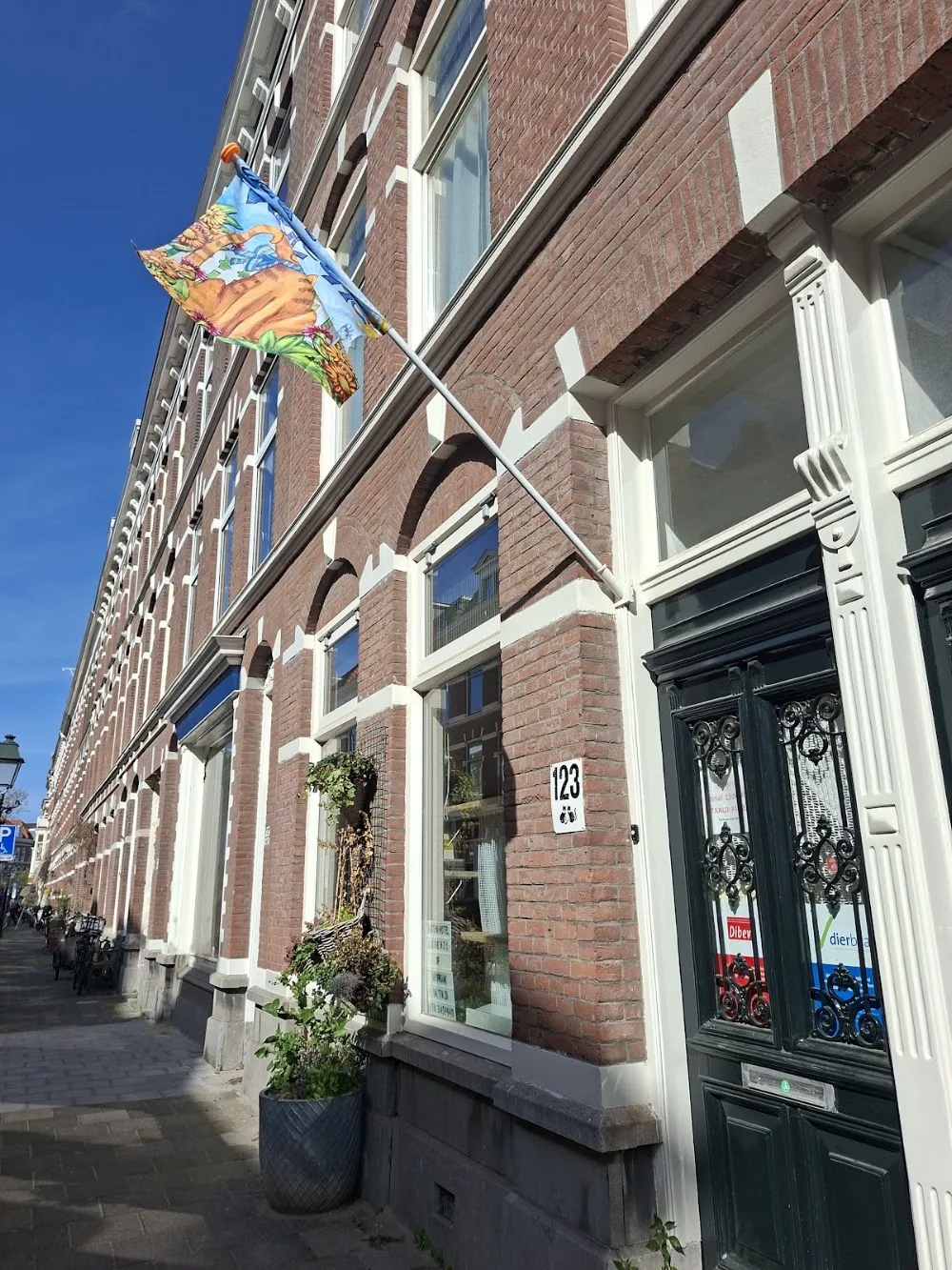 Kattenhotel Lorenzo - Netherlands pet otel görseli 3