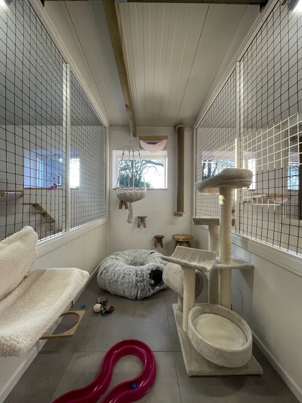 Kattenhotel (S)kattig - Netherlands pet otel