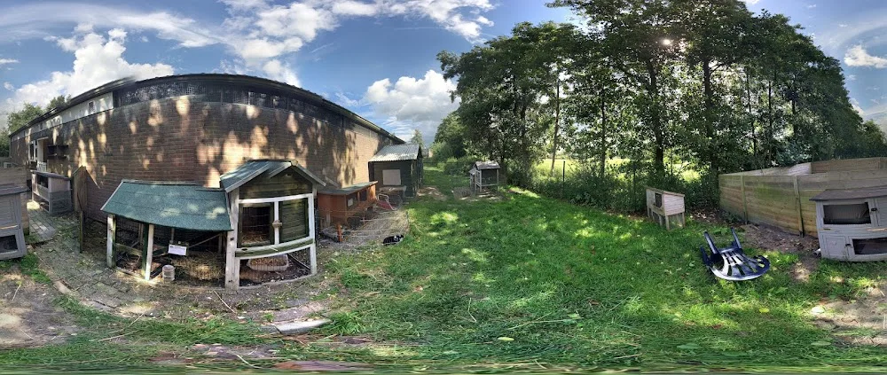Konijnen- en Knaagdierenopvang Eemland - Netherlands pet otel görseli 3