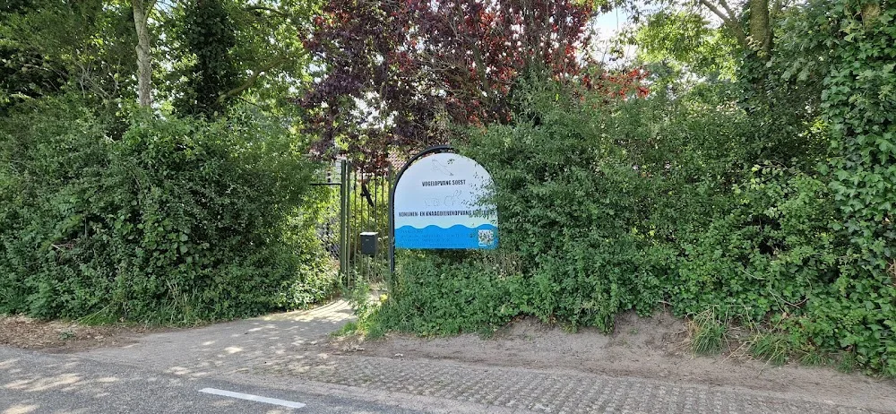 Konijnen- en Knaagdierenopvang Eemland - Netherlands pet otel görseli 4