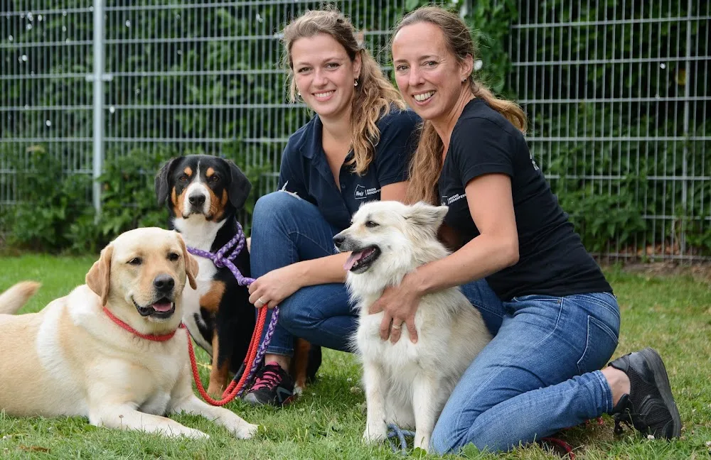 Meenthoeve Dierenpension De - Netherlands pet otel görseli 3