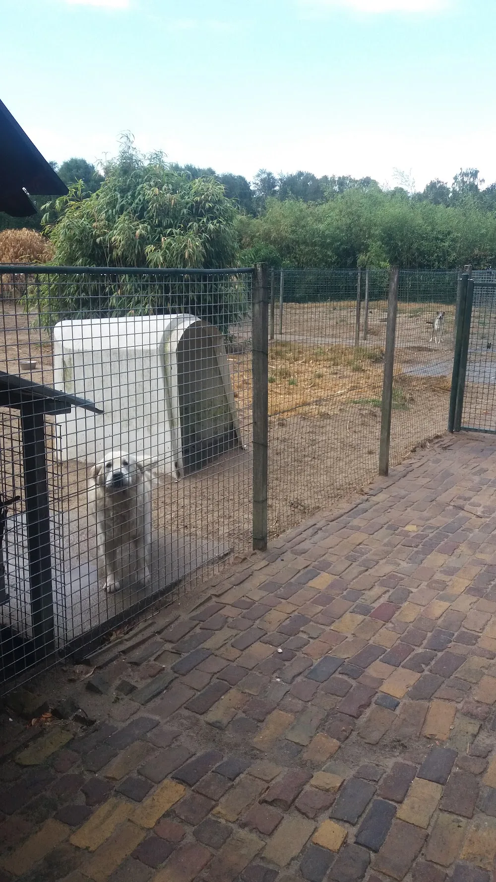 Veldhoef - Netherlands pet otel görseli 2