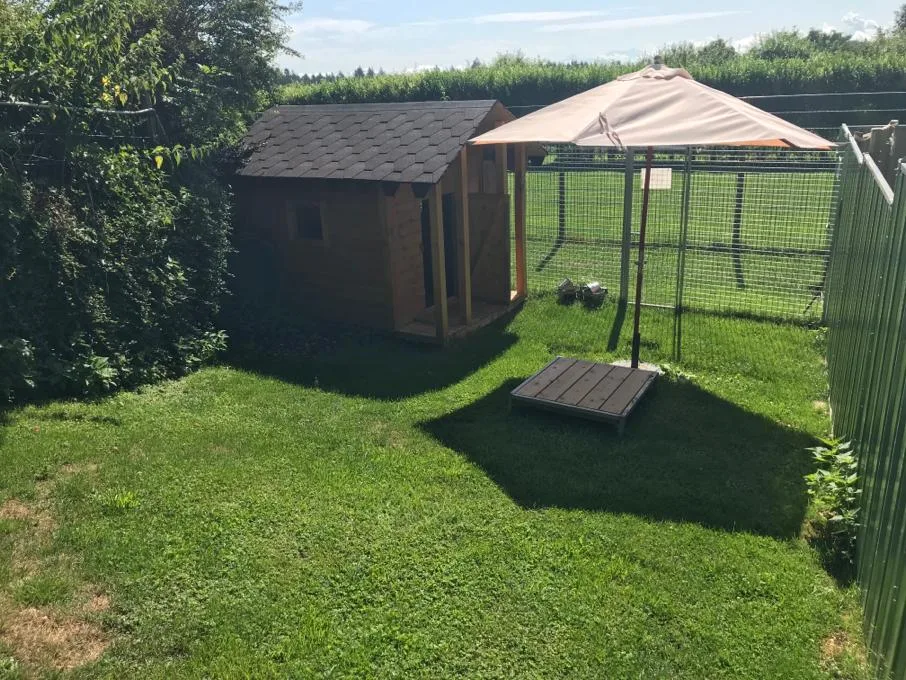 Dog Palace - Neuchâtel pet otel görseli 3