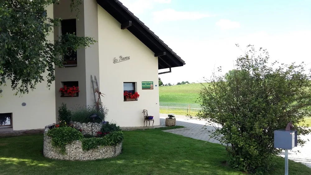Pension pour chiens et élevage de Labrador La Ravine - Neuchâtel pet otel