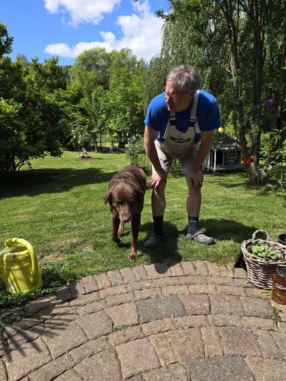 Xariella - Hunde Hotel Hundepension Hunderesidenz Tagesbetreuung - Neuhäusel pet otel görseli 3