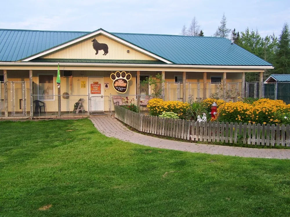 4 Paws Pet Resort Inc - New Brunswick pet otel