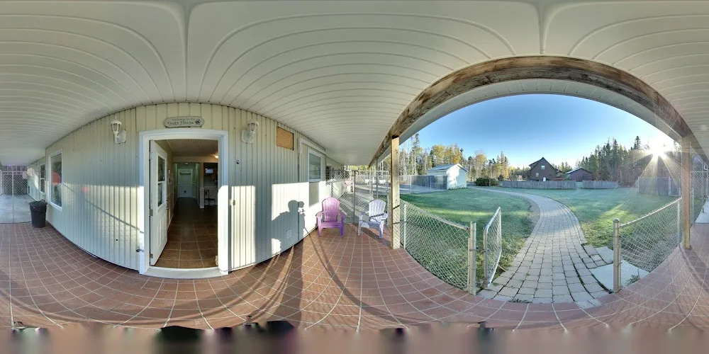 4 Paws Pet Resort Inc - New Brunswick pet otel görseli 4