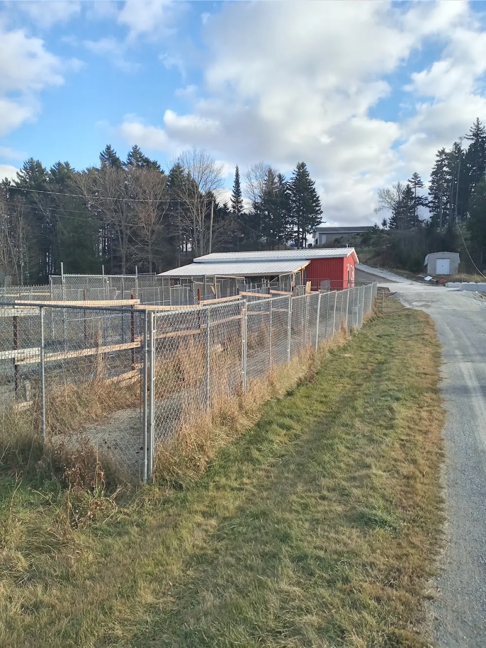 Clifton Royal Dog Boarding Kennels Ltd - New Brunswick pet otel