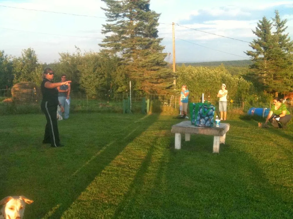 Darr Houssen Pet Boarding and Training - New Brunswick pet otel
