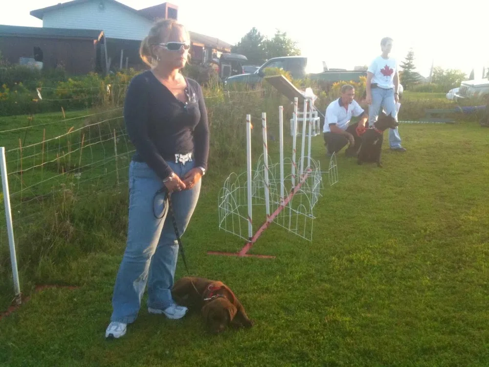 Darr Houssen Pet Boarding and Training - New Brunswick pet otel görseli 3
