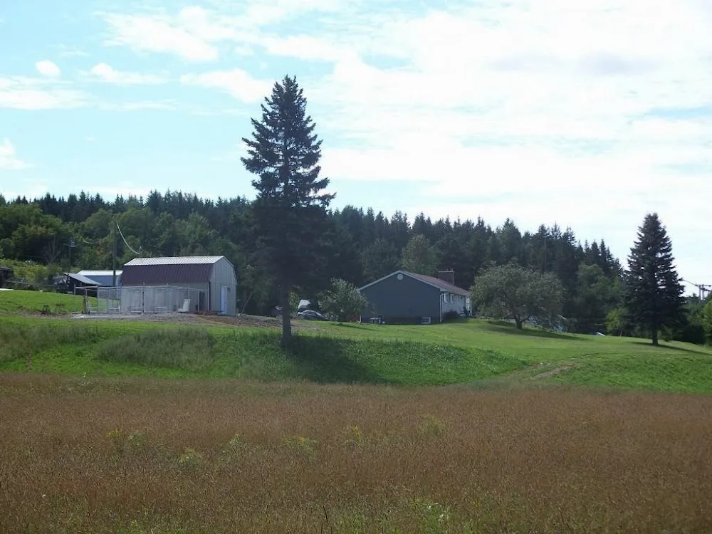 Heritage Farm Kennel - New Brunswick pet otel görseli 3