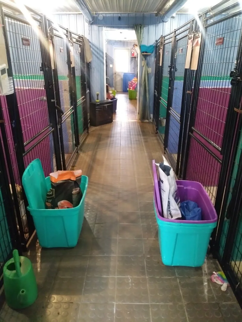 Lincoln Pet Hotel - New Brunswick pet otel