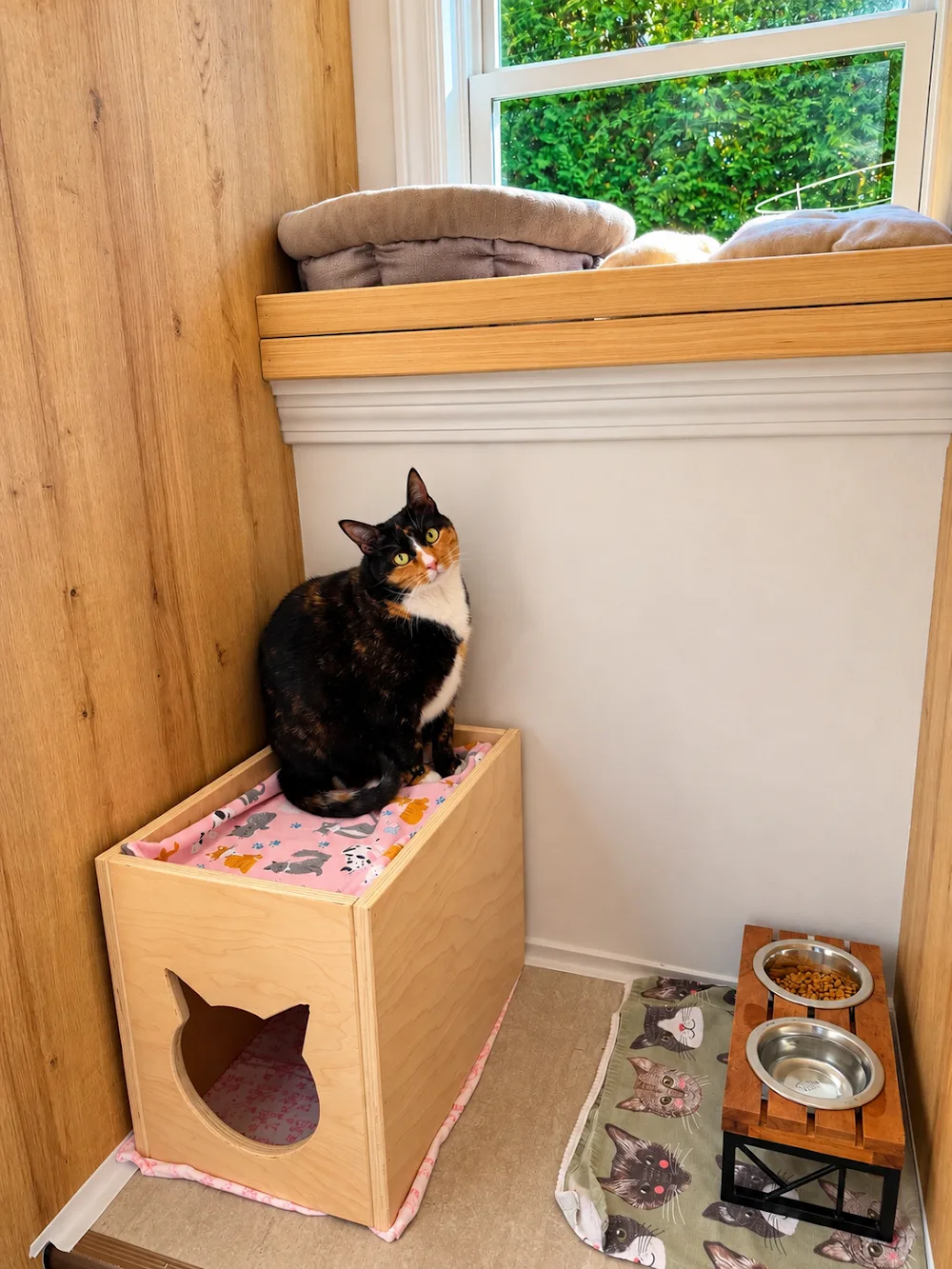 Meow Manor Cat Hotel & Boarding Fredericton - New Brunswick pet otel