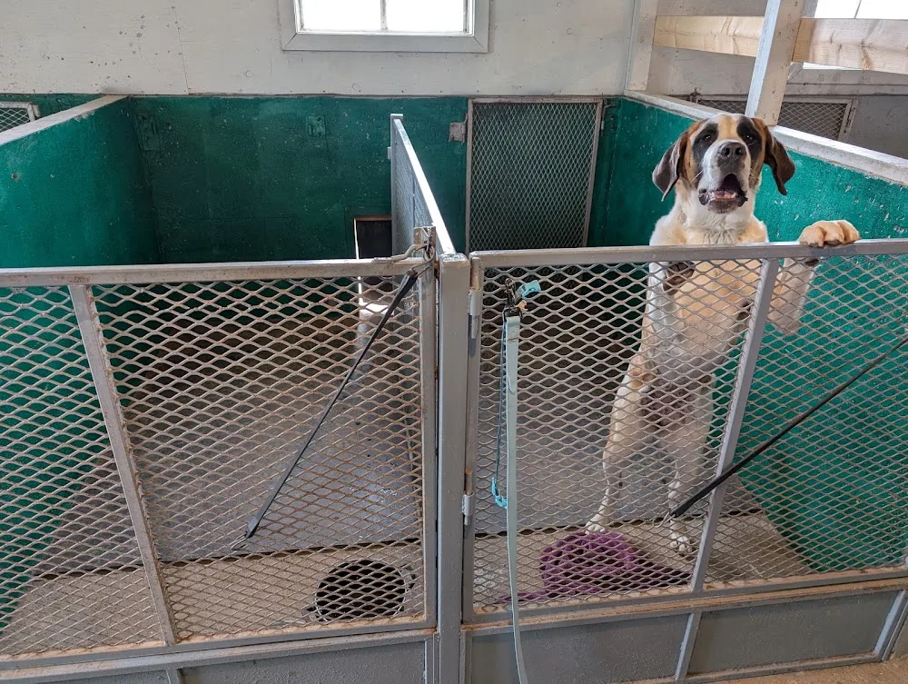 Stephenson kennel - New Brunswick pet otel görseli 3