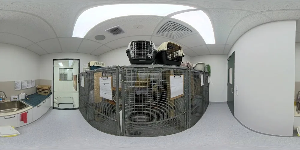 Companion Cat Hotel - New South Wales pet otel görseli 3
