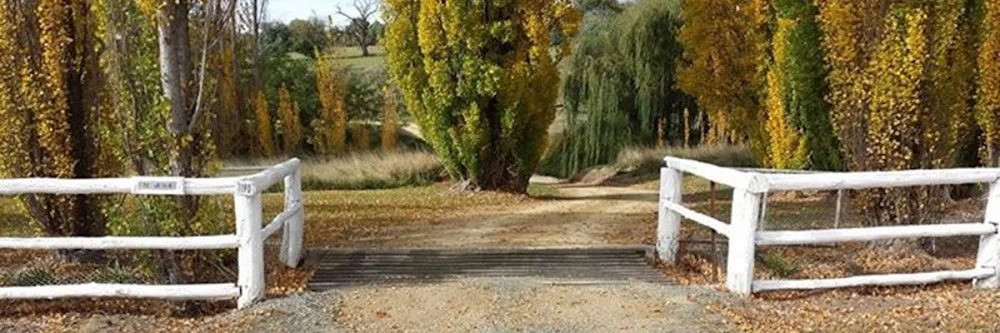 Country Myals Kennel and Cattery - New South Wales pet otel görseli 2